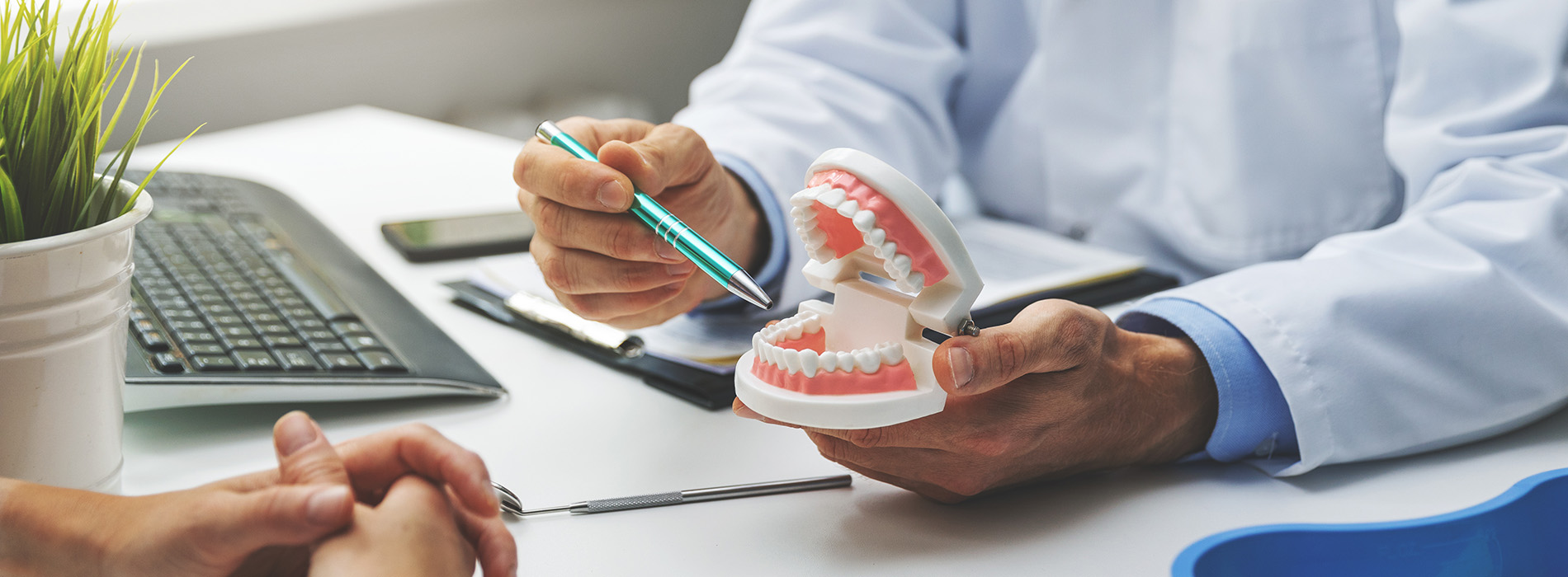 A dentist sitting at a desk with dental models, holding a toothbrush, while another person looks on.